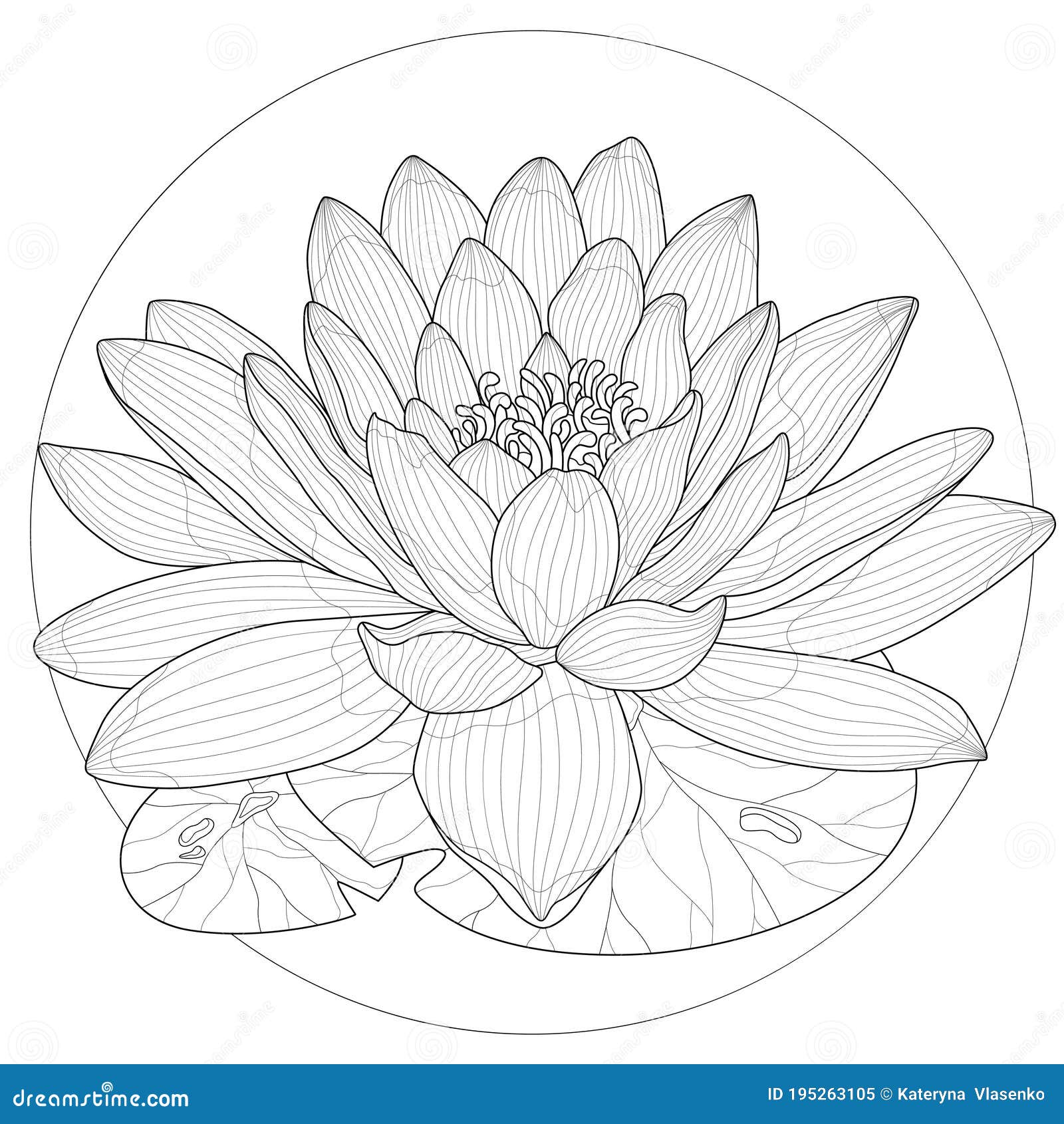 Lotus flowercoloring book antistress for children and adults stock illustration
