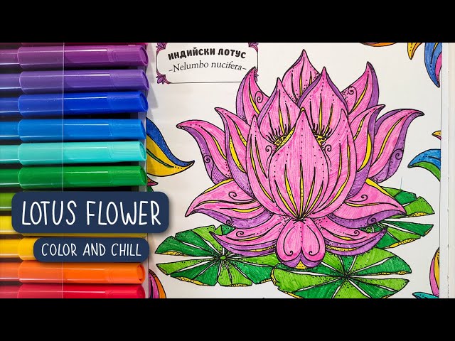 Lotus flower ð color and chill ð