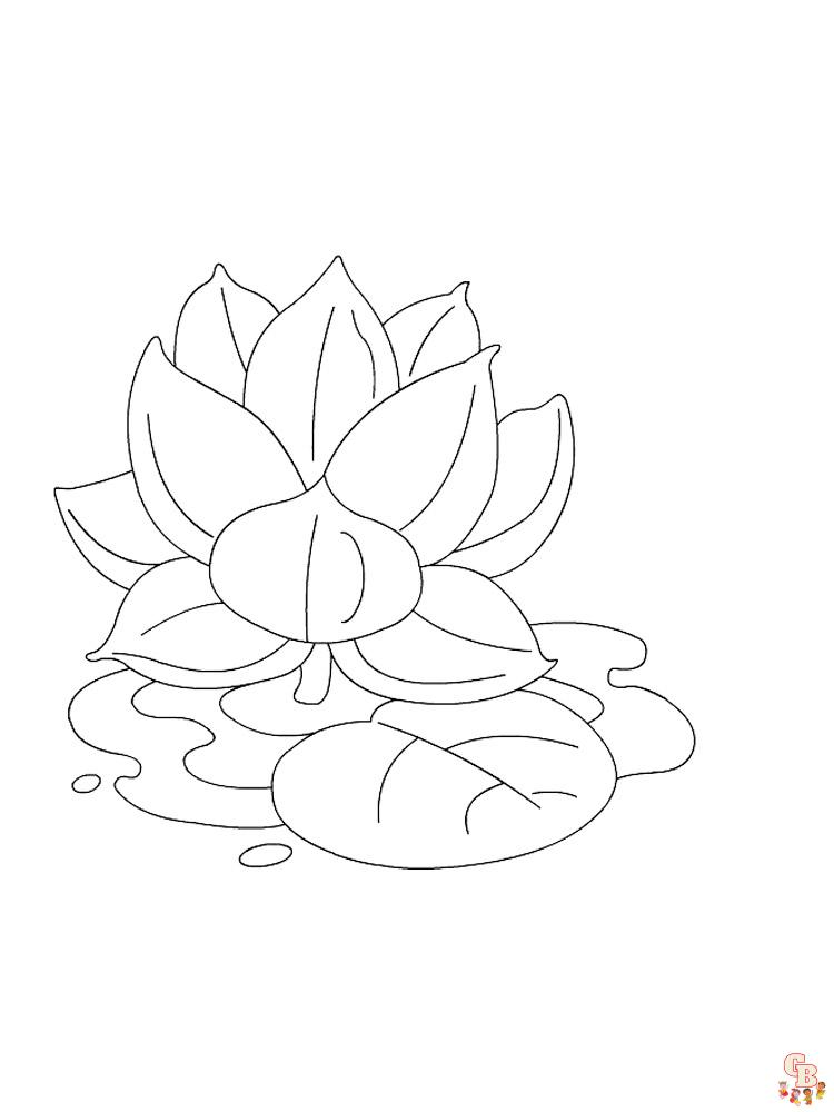 Find beautiful lotus coloring pages on