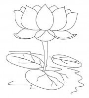 Top lotus coloring pages for your little ones coloring pages