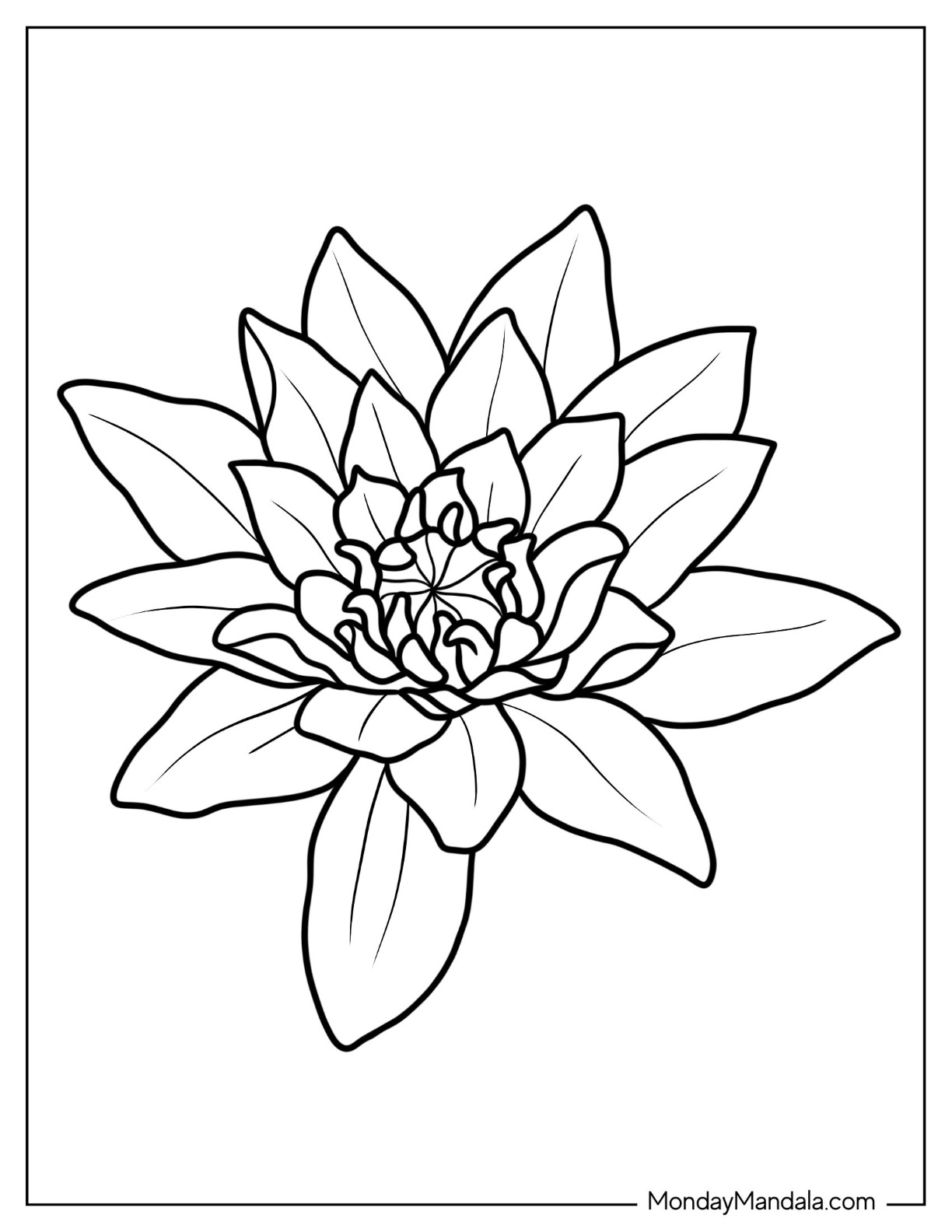 Flower coloring pages free pdf printables