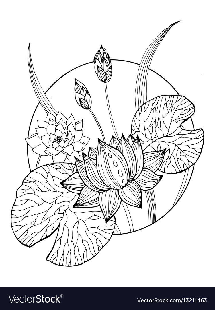 Lotus flower coloring book royalty free vector image