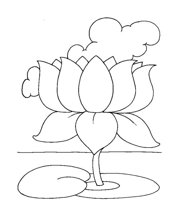 Free printable lotus coloring pages for kids