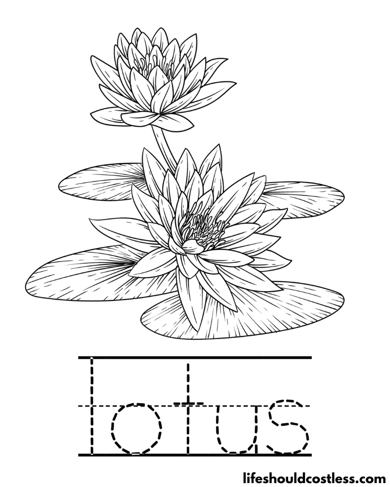 Lotus coloring pages free printable pdf templates