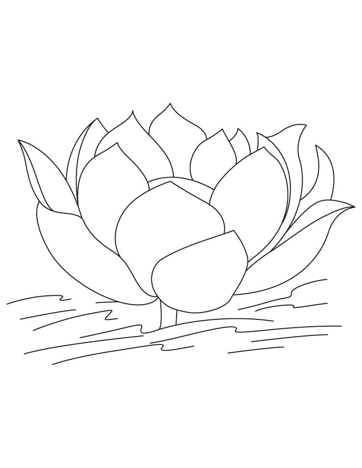 Free printable lotus coloring pages for kids