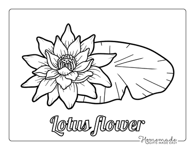 Free flower coloring pages for kids adults