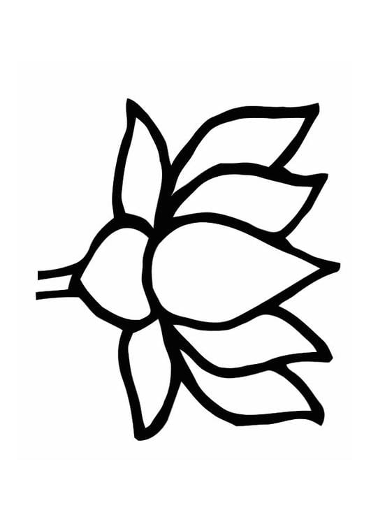 Coloring page lotus flower