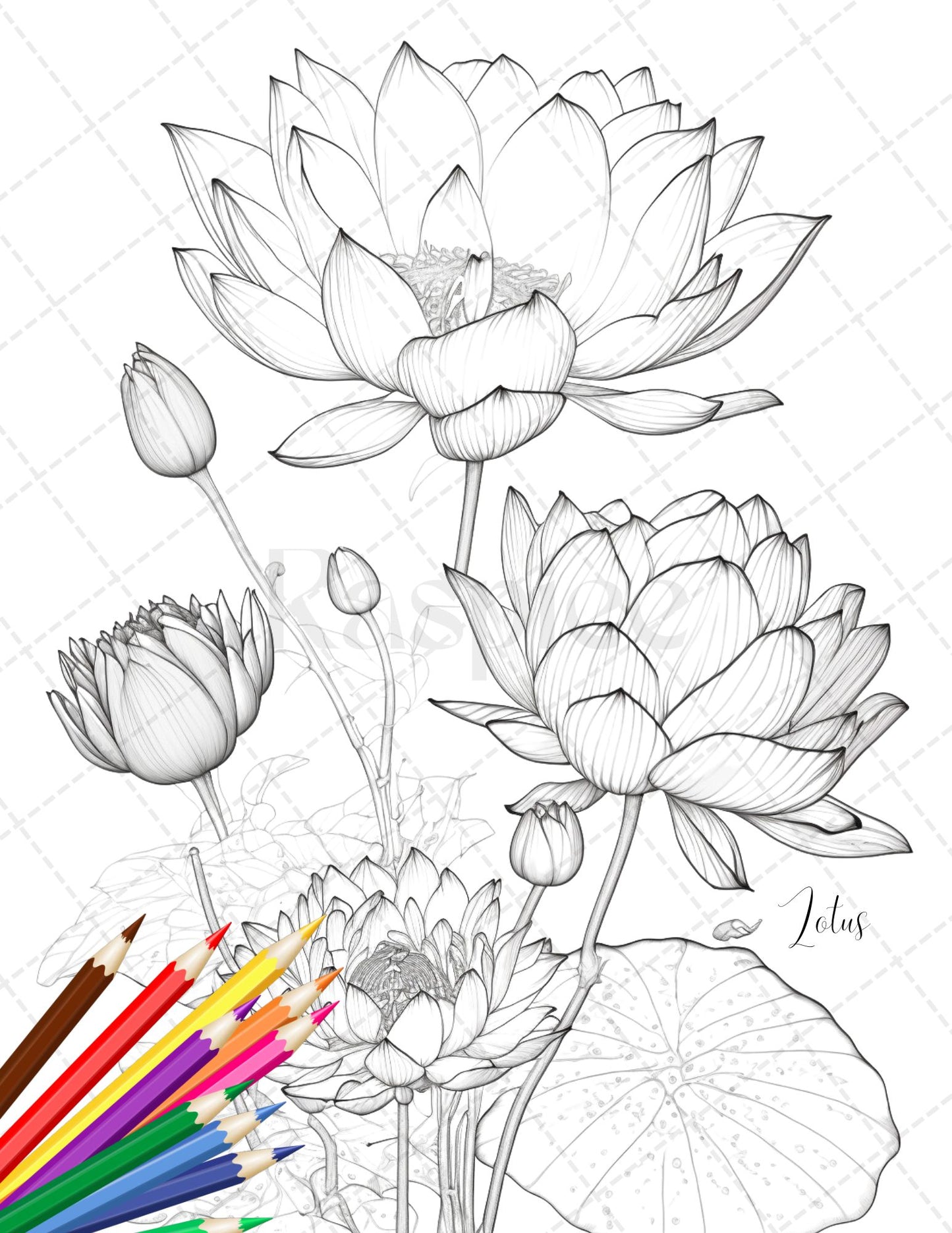 Botanical flowers printable coloring pages for adults floral grays â coloring