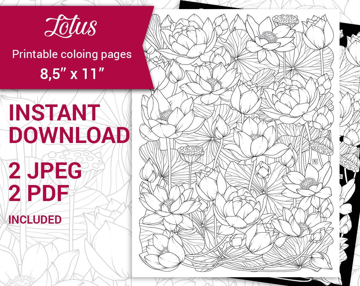 Buy pdf jpeg printable adult coloring page botanical printable coloring page lotus flowers coloring page x online in india