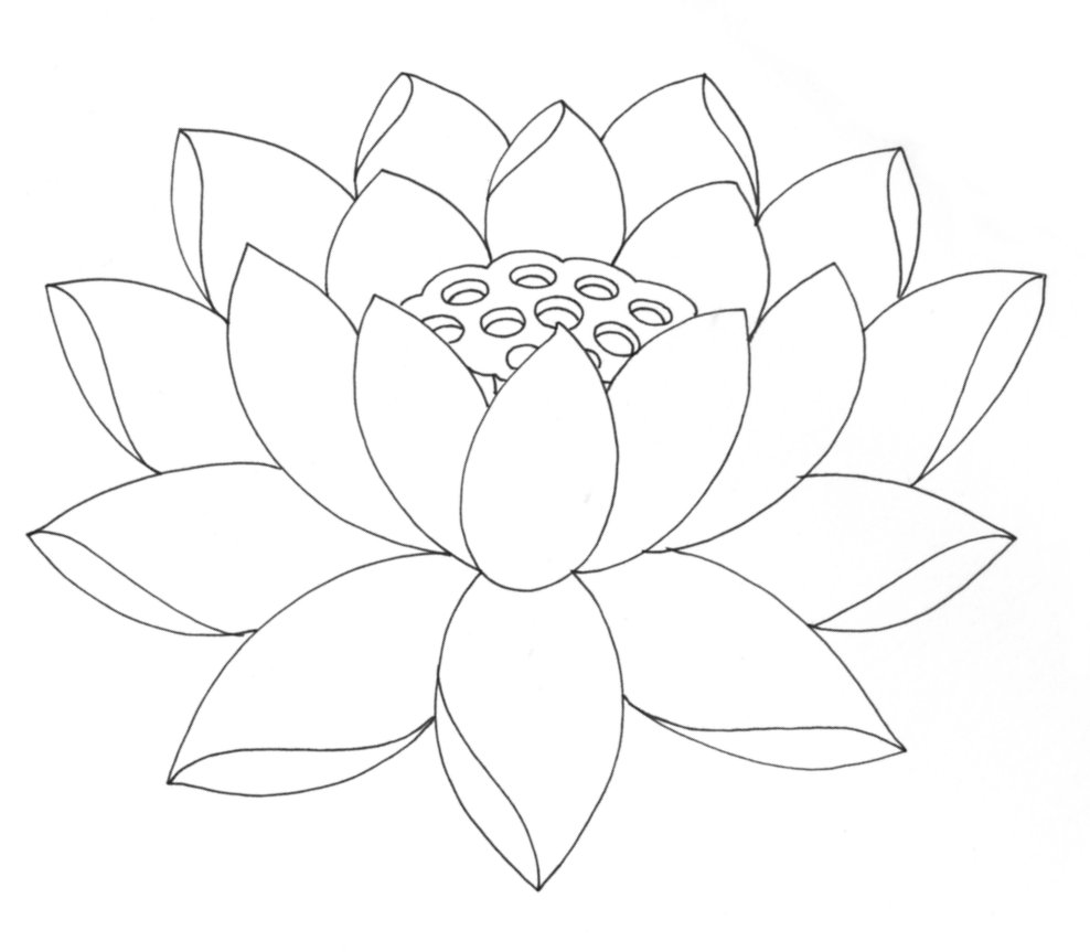 Free printable lotus coloring pages for kids