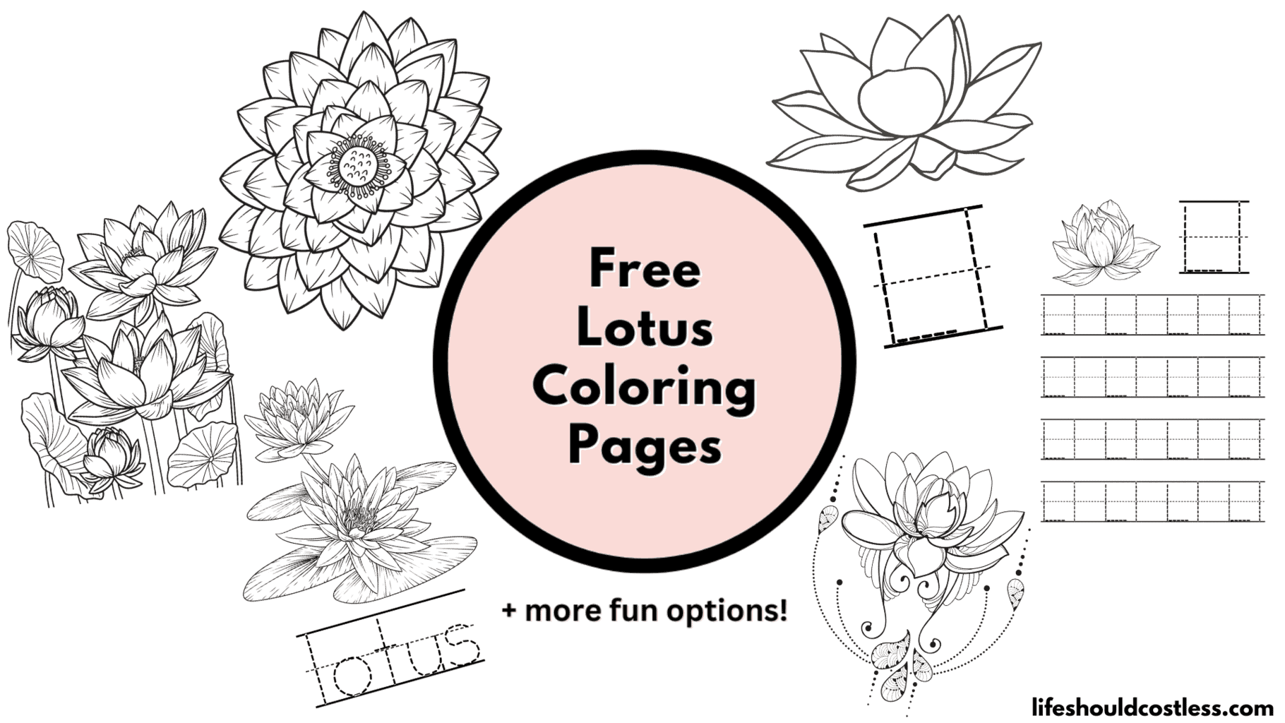 Lotus coloring pages free printable pdf templates