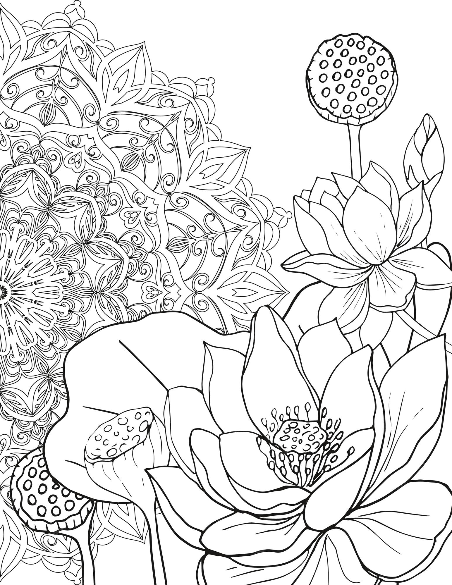 Premium vector coloring page for adults mandala and beautiful lotus flowers