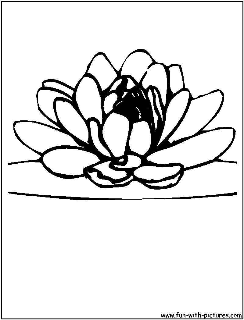 Lotus blossom coloring page