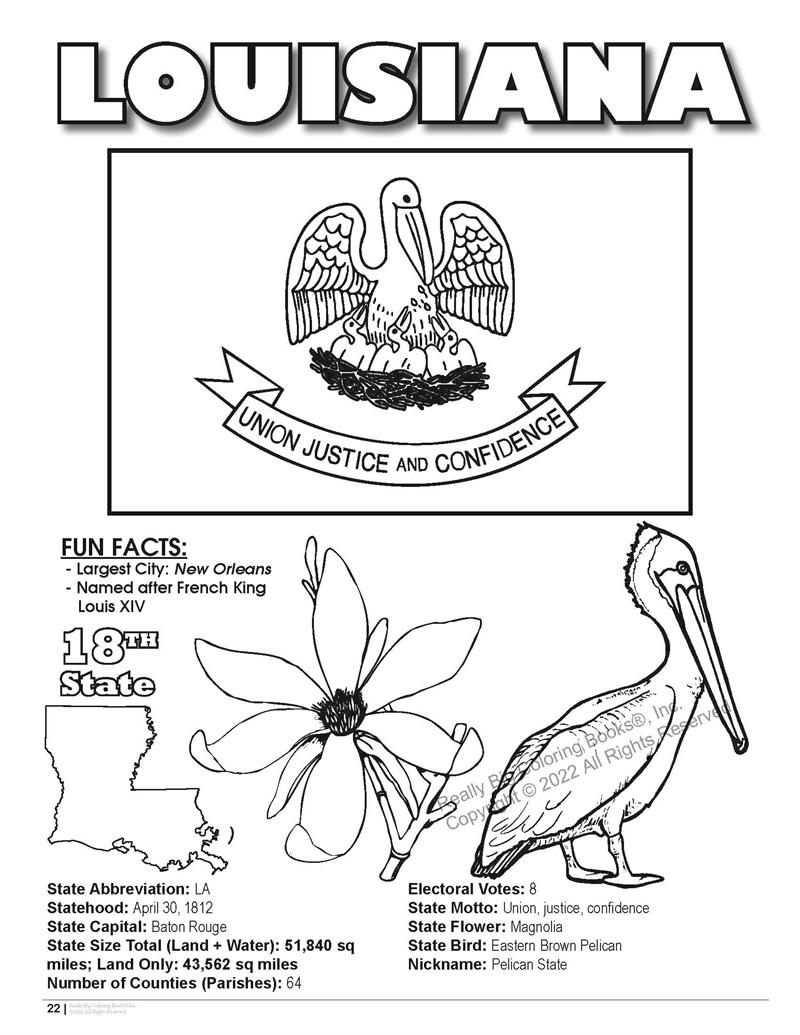 Georgia state coloring book x