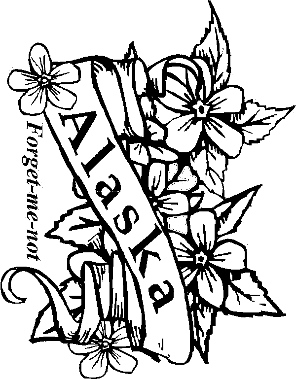 State flowers coloring pages for kids