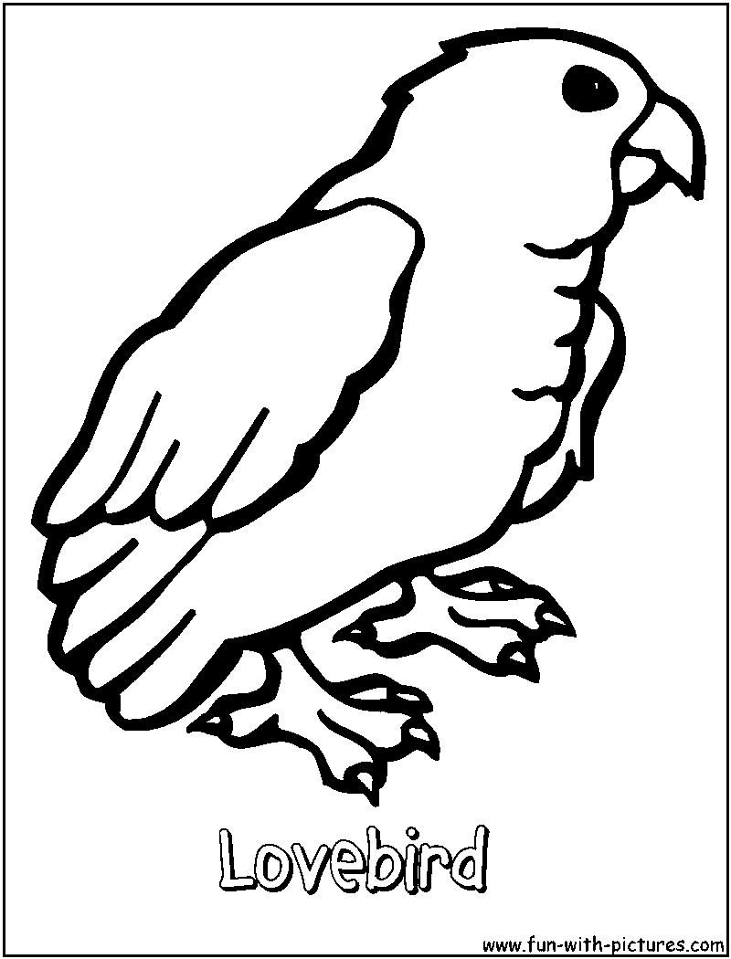 Lovebird coloring page