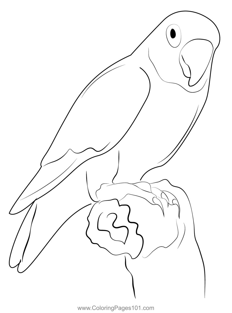 Love birds coloring page for kids