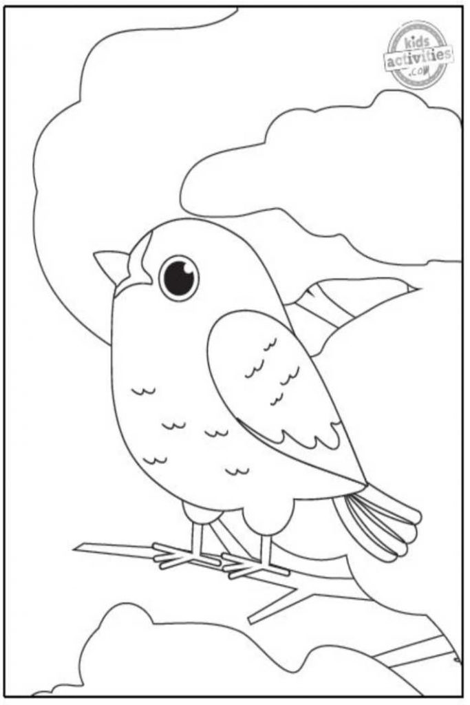 Simple cute bird coloring pages for kids kids activities blog