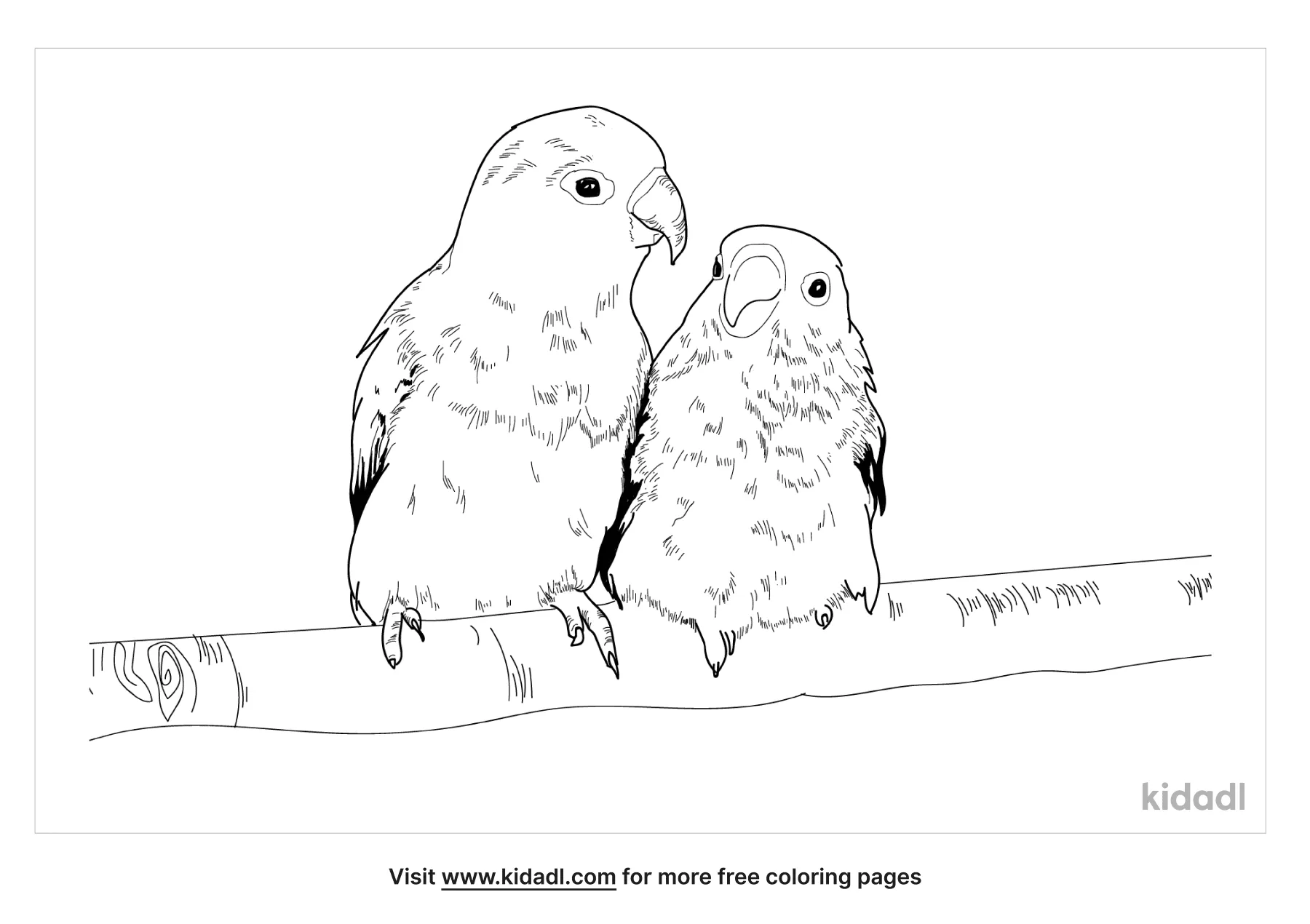 Free lovebird coloring page coloring page printables