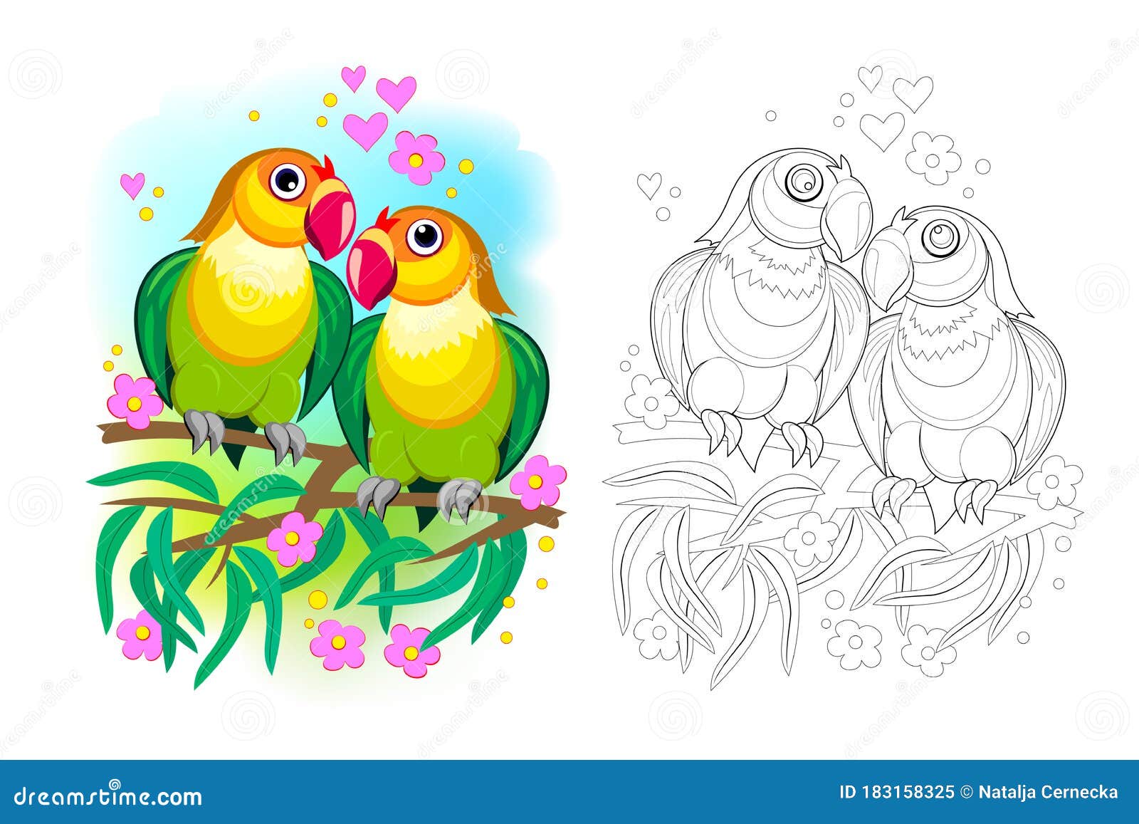 Fantasy illustration of couple of romantic parrots lovebirds colorful and black and white page for coloring book stock vector