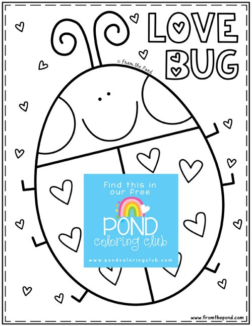 Insects â pond coloring club