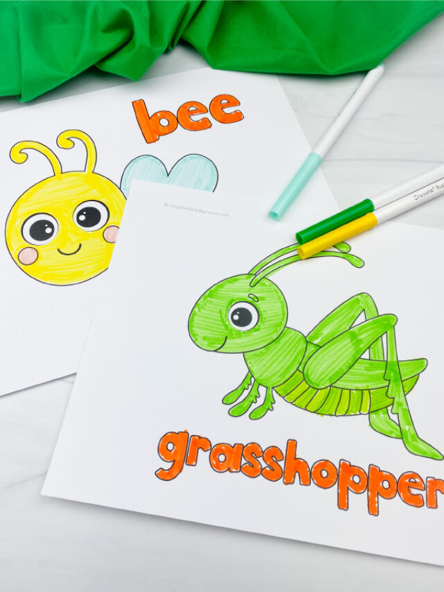 Cute bug coloring pages for kids story