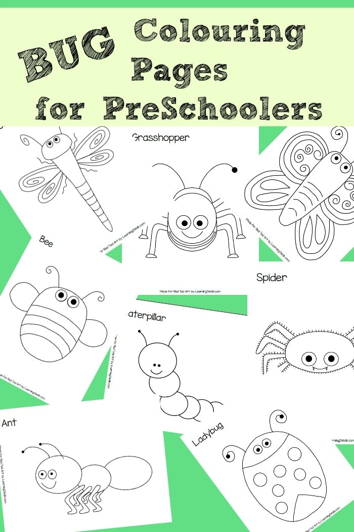 Free bug colouring pages perfect for preschoolers