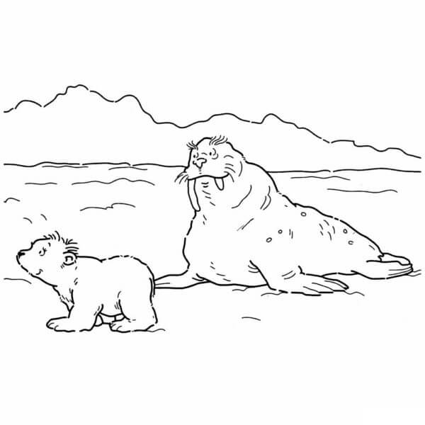 A walrus looks after a small polar bear coloring page