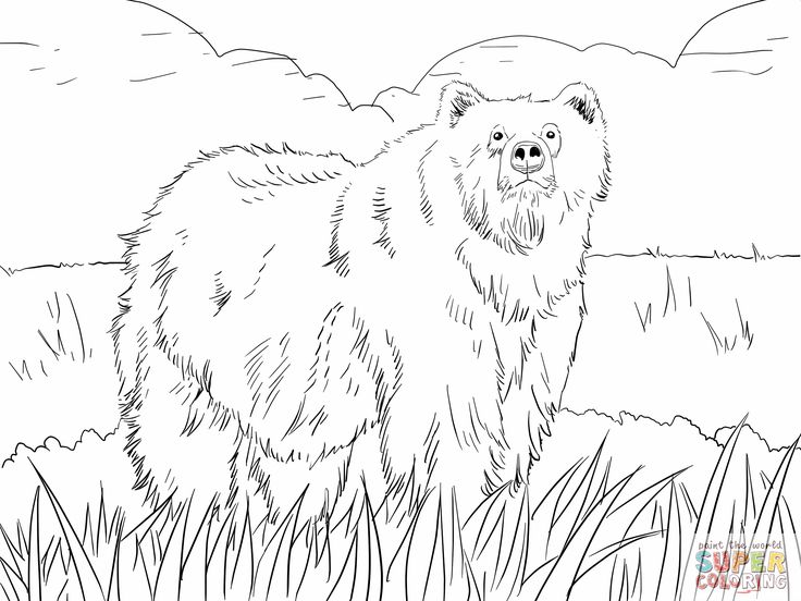 Alaskan grizzly bear coloring page free printable coloring pages animal coloring pages bear coloring pages polar bear coloring page