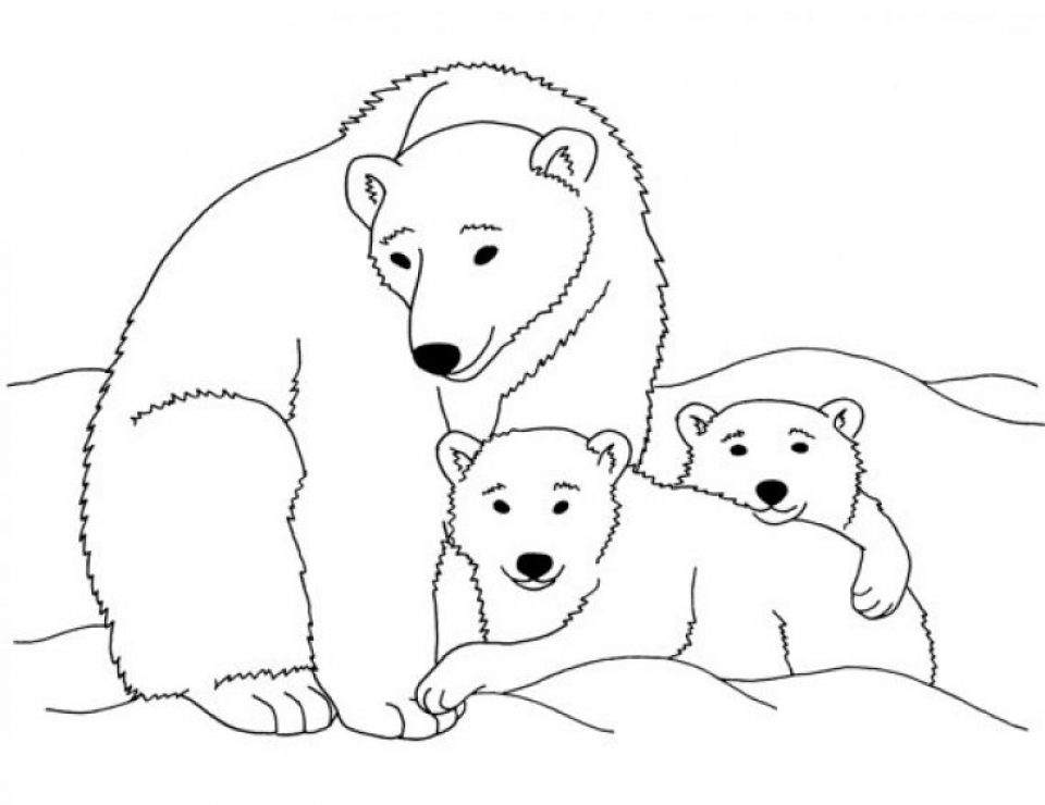 Free printable polar bear coloring pages