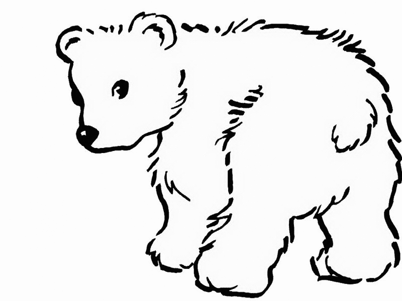 Free printable bear coloring pages for kids