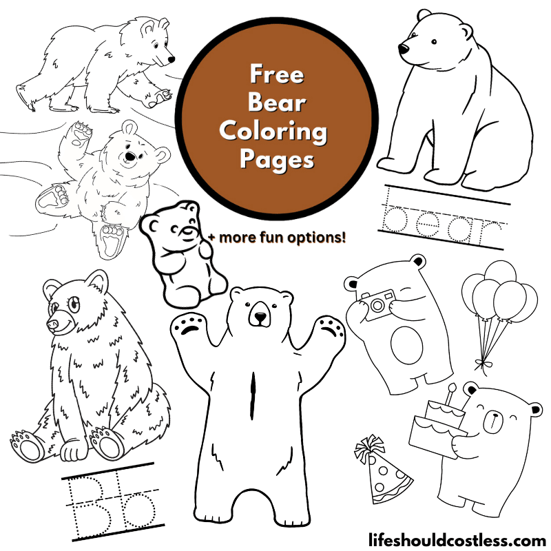 Bear coloring pages free printable pdf templates