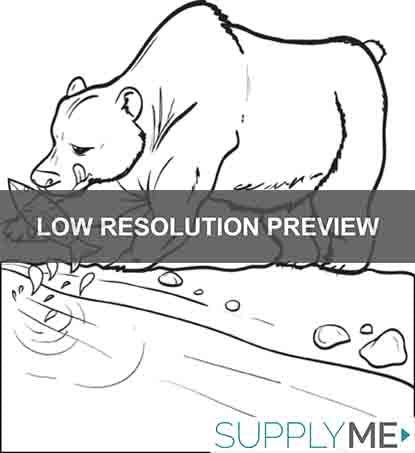 Bear catching a fish coloring page fish coloring page coloring pages bear coloring pages