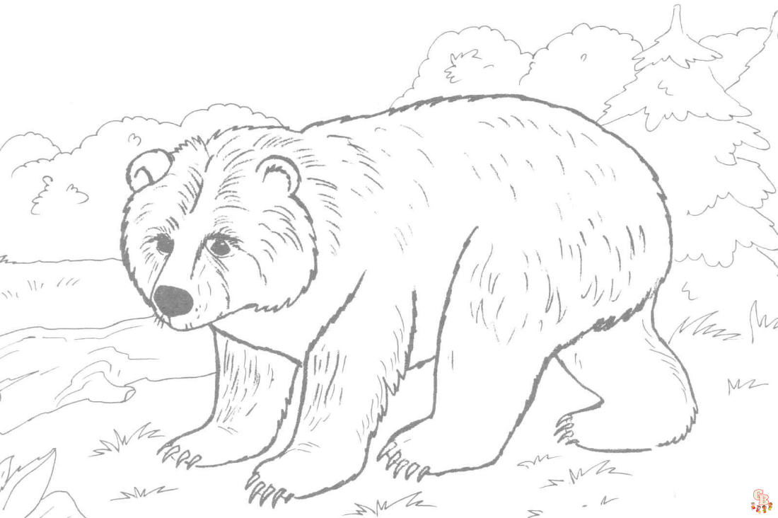 Explore the wild with free printable bear coloring pages