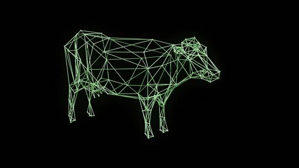 Wire frame cow stock photos pictures royalty