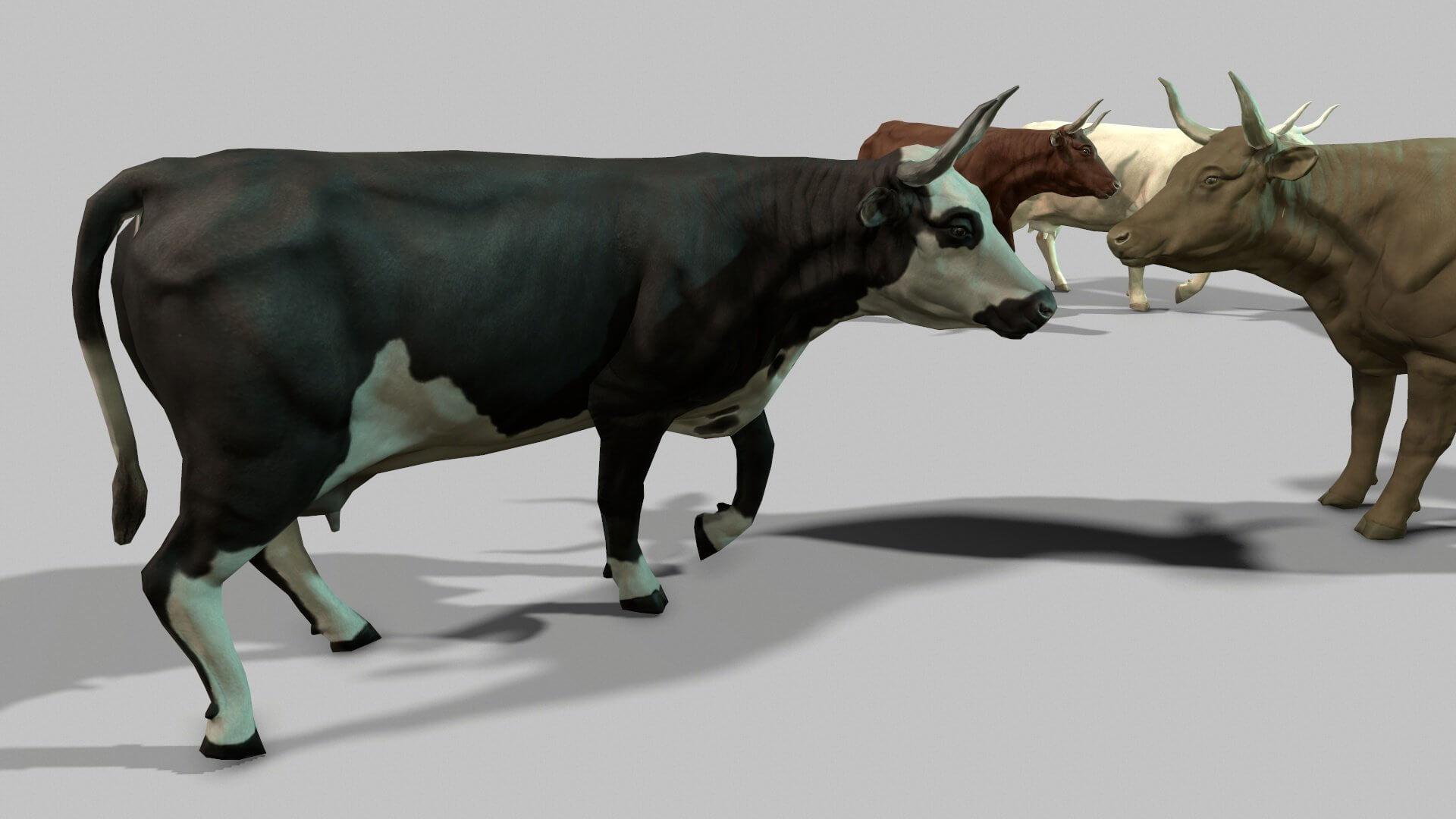 Animated cattle