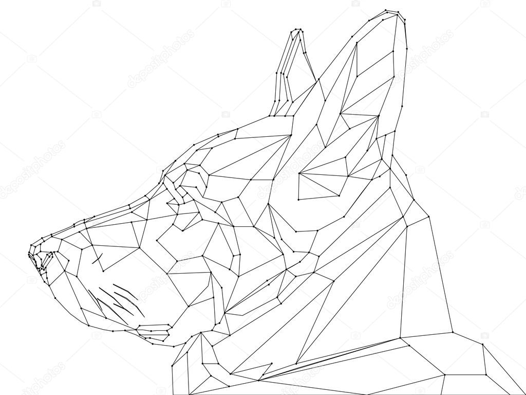 Low poly shepherd snout stock vector by khrystsinatsarova