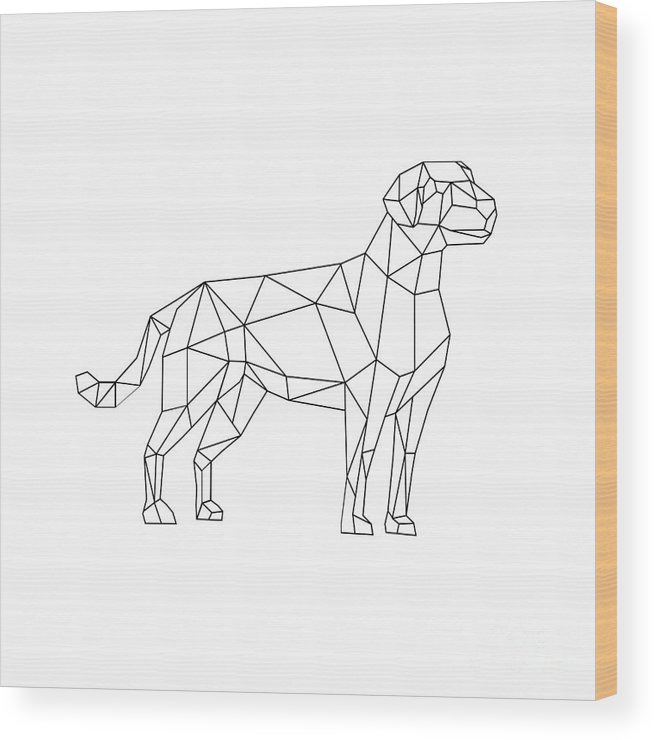 Labrador wireframe low polygon line art wood print by aloysius patrimonio