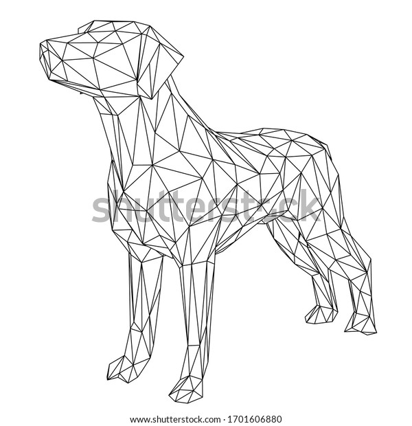 Polygon dog images stock photos d objects vectors