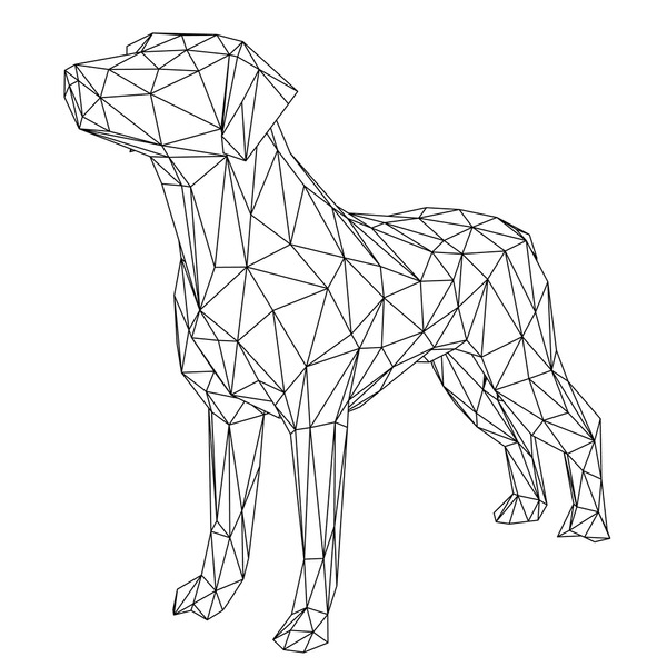 Dog polygon royalty