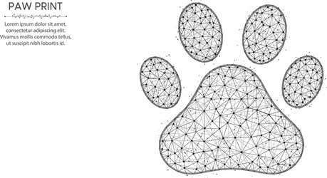 Dog wireframe poly vector images over