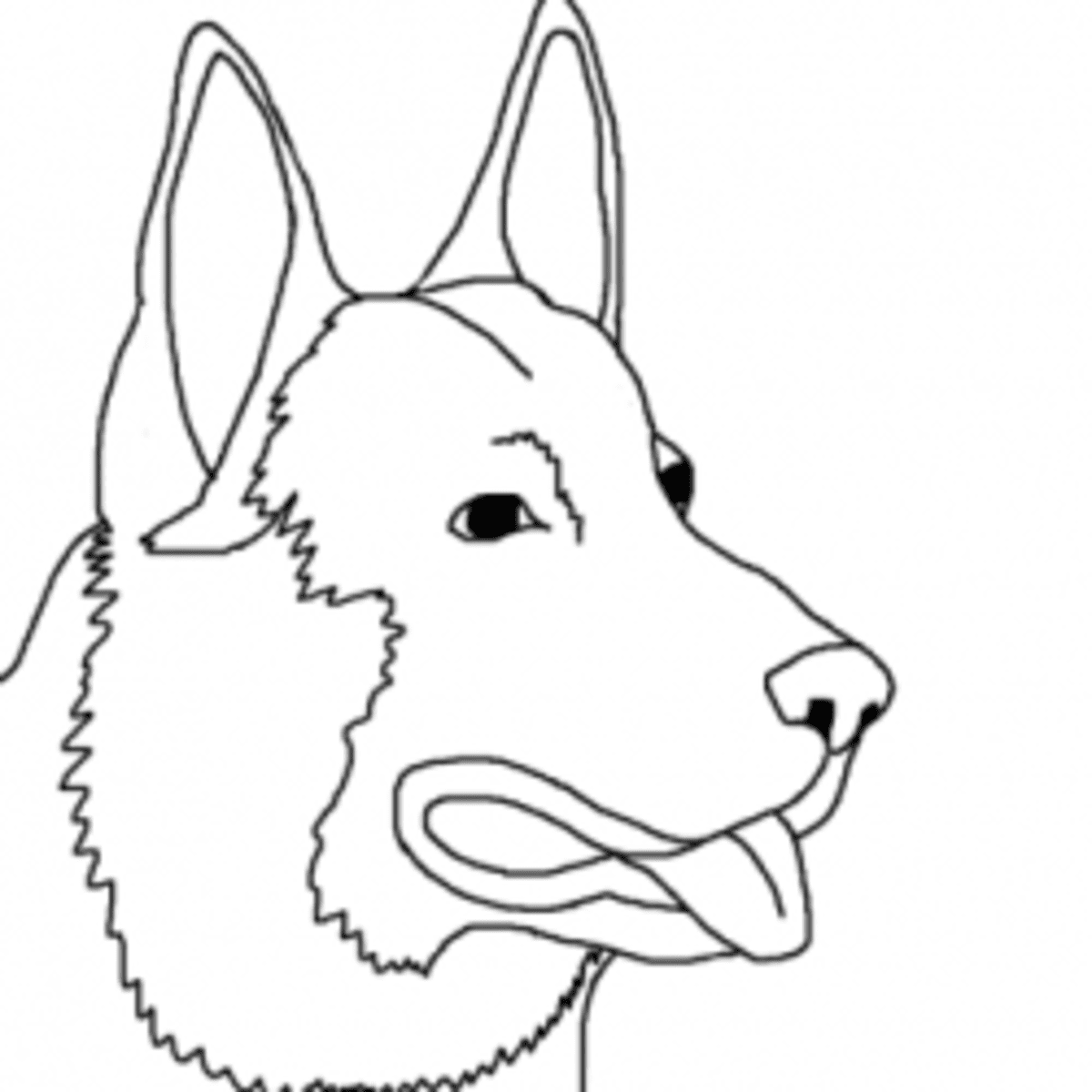 Dog breed coloring pages