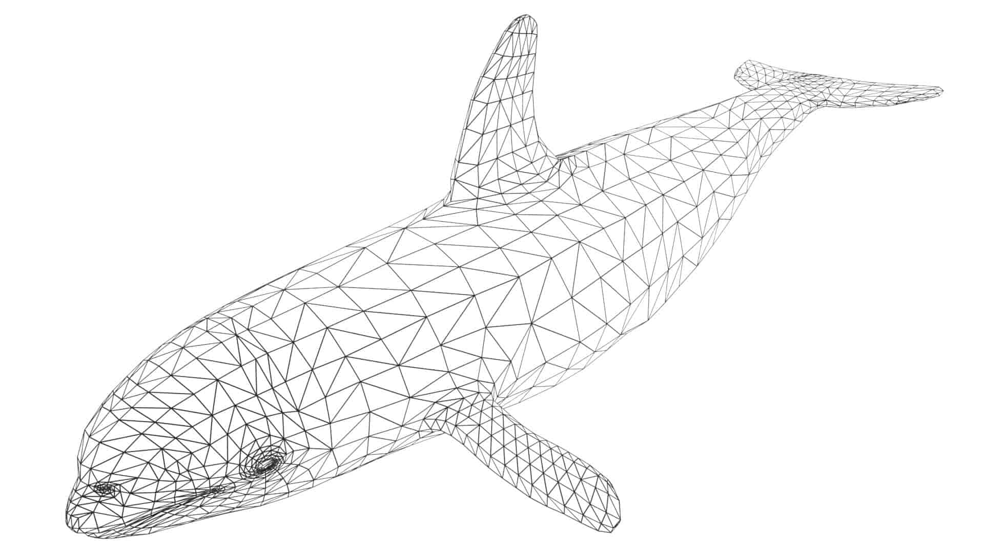 Whale d model rigged and low poly game ready