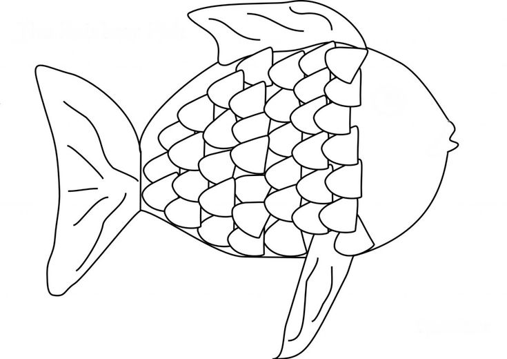 Fish coloring pages for preschool