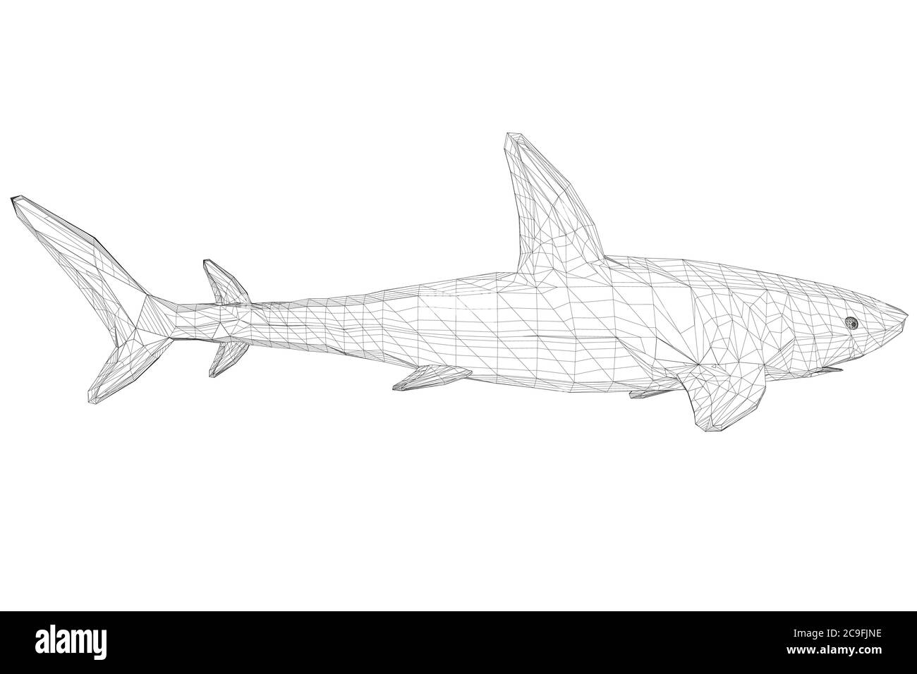 Wireframe low poly blue shark d side view vector illustration stock vector image art