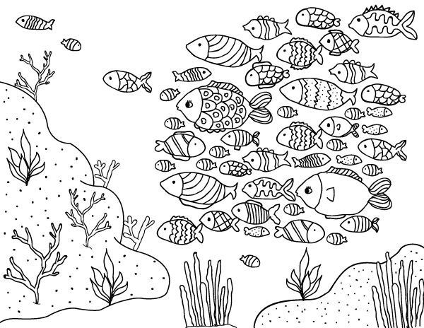 Free printable school of fish coloring page download it from httpsmuseprintablesdownloadcolâ fish coloring page coloring pages drawing sheets for kids