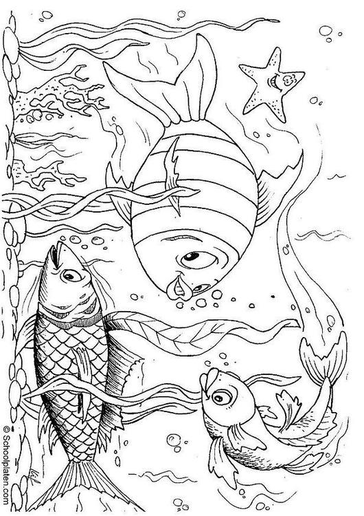 Coloring page fishes