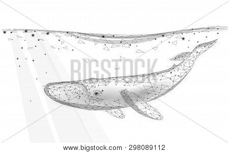 Low poly d whale vector photo free trial bigstock