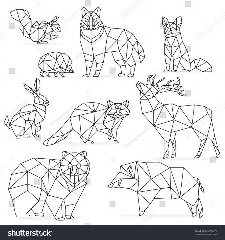 Low poly line animals set origami poligonal line animals wolf bear deer wild boar fox raccoon rabbit hedgeâ geometric animals geometric deer geometric drawing