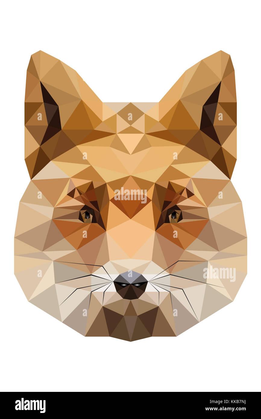 Polygon fox face hi